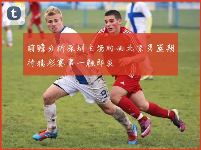 前瞻分析深圳主场对决北京男篮期待精彩赛事一触即发