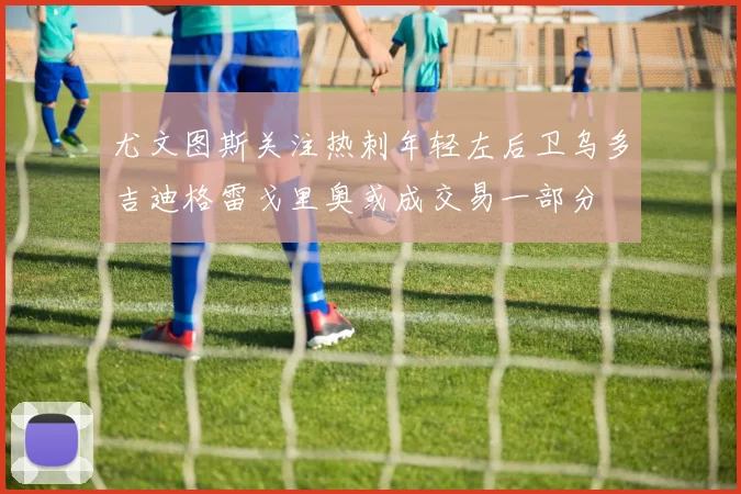 尤文图斯关注热刺年轻左后卫乌多吉迪格雷戈里奥或成交易一部分