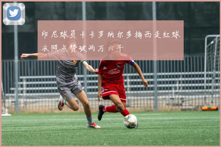 印尼球员卡卡罗纳尔多梅西走红球衣照点赞破两万六千