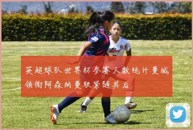 英超球队世界杯参赛人数统计曼城领衔阿森纳曼联紧随其后