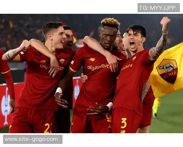 意甲分析：维罗纳面临困境难以反弹前景堪忧